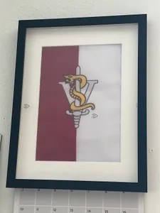 WebcamCoversNow.com - Custom Hand Flags