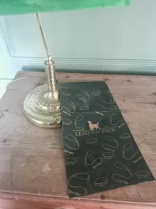 WebcamCoversNow.com - Custom Poly Mailer