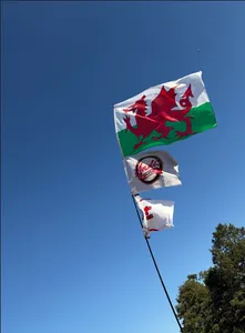WebcamCoversNow.com - Rectangle Flag