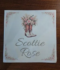 WebcamCoversNow.com - Custom Paper Luncheon Napkins