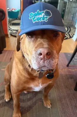 I have a company in the Solar Design industry called Solar Rocks