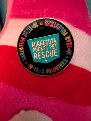 Hard Enamel Pin - This pin was created as a gift to show our organizations appreciation for the volunteers who have been with us for 10 years