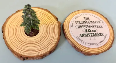 Pulpboard Coasters - 10th Anniversary of Village Tree