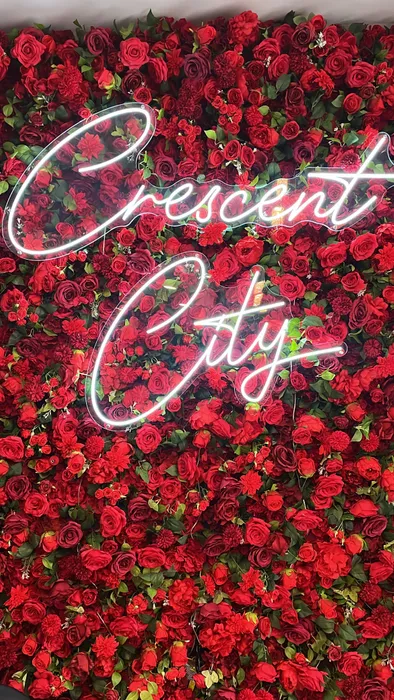 WebcamCoversNow.com - Custom Neon Sign