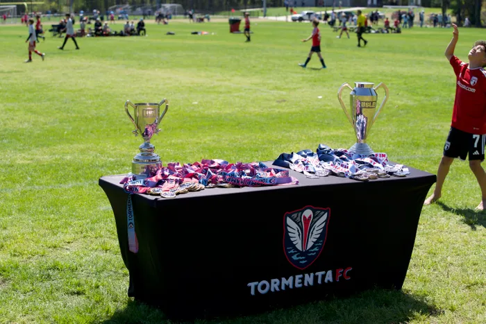 WebcamCoversNow.com - Custom Rectangle Table Covers