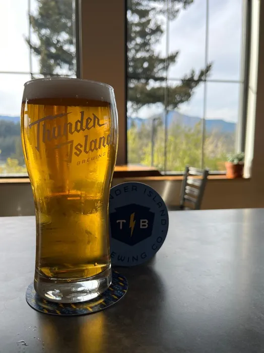 WebcamCoversNow.com - Pulpboard Coasters