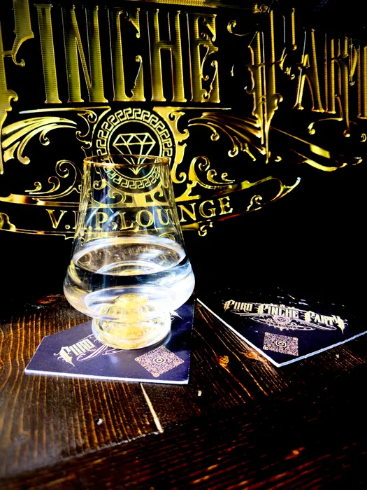 WebcamCoversNow.com - Super Absorbent Bar Coaster