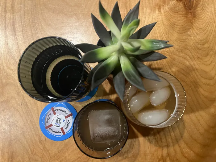 WebcamCoversNow.com - Super Absorbent Bar Coaster