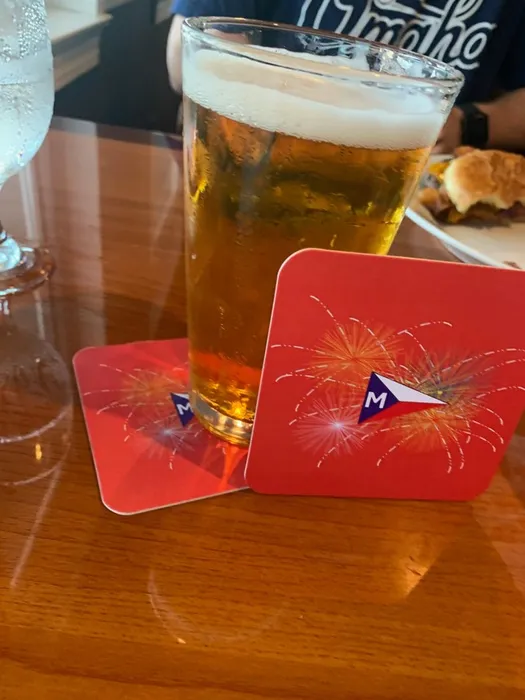 WebcamCoversNow.com - Super Absorbent Bar Coaster