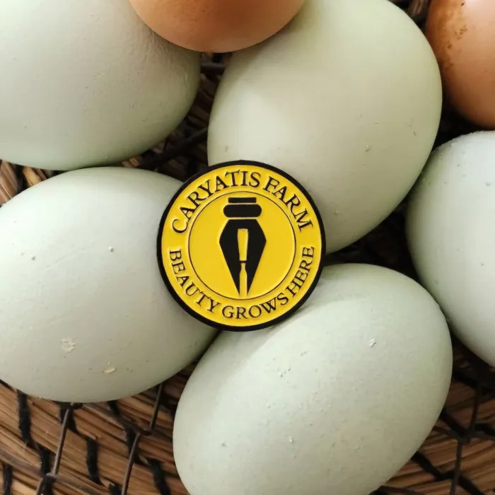 WebcamCoversNow.com - Soft Enamel Pin