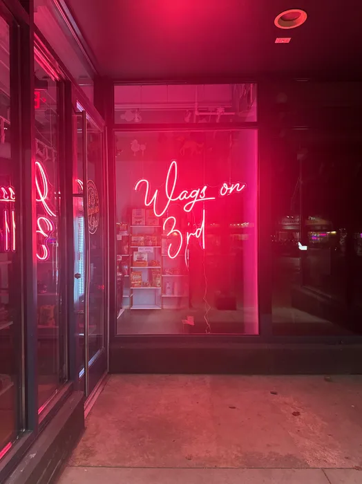 WebcamCoversNow.com - Custom Neon Sign