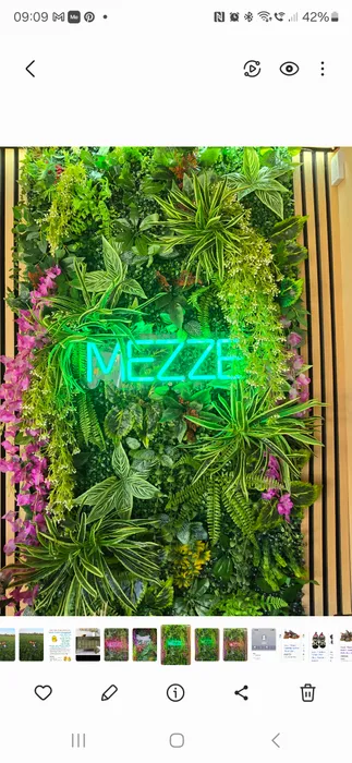 WebcamCoversNow.com - Custom Neon Sign