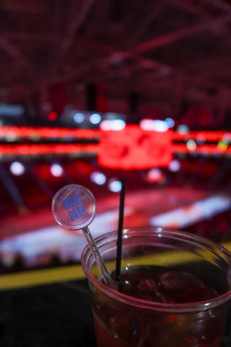 WebcamCoversNow.com - Transparent Stir Sticks