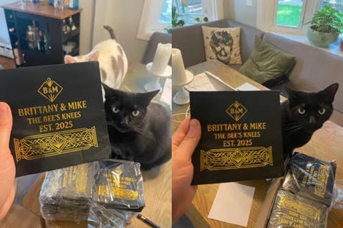 WebcamCoversNow.com - Custom Foil Stamped Beverage Napkin