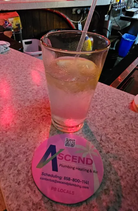 WebcamCoversNow.com - Super Absorbent Bar Coaster