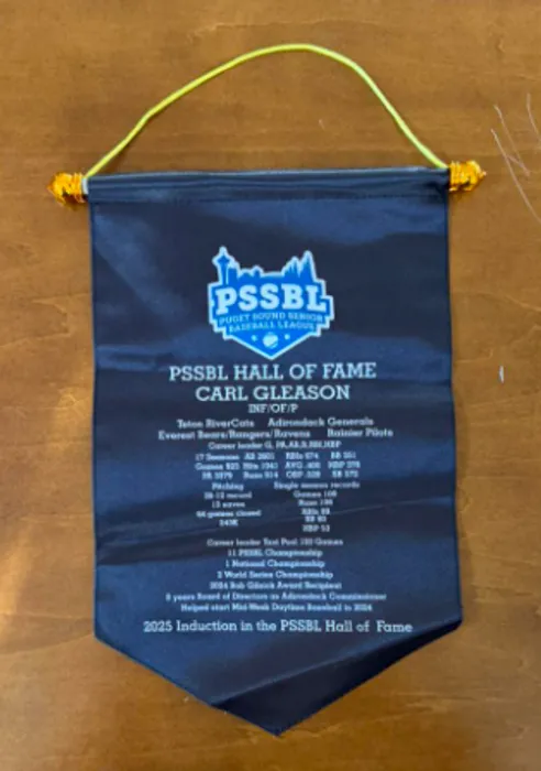 WebcamCoversNow.com - Podium Banners