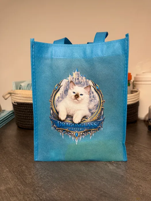 WebcamCoversNow.com - Custom Small Gift Tote Bag