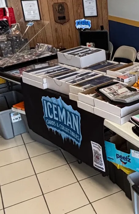 WebcamCoversNow.com - Custom Rectangle Table Covers