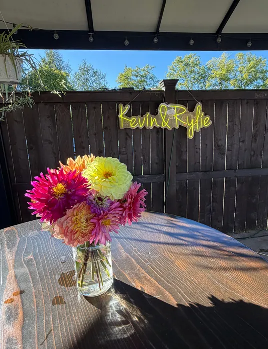 WebcamCoversNow.com - Custom Neon Sign