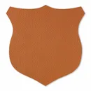 Shape 17 - Webcam Covers Now