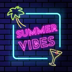 Large - Webcam Covers Now