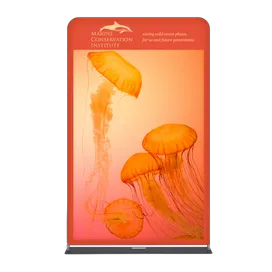 EZ Extend Displays - Webcam Covers Now