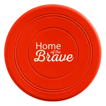 Flying Discs - Webcam Covers Now