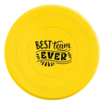 Flying Discs - Webcam Covers Now