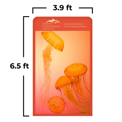 3.9 x 6.5 ft - Webcam Covers Now