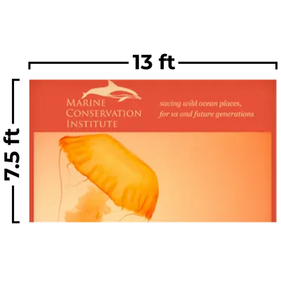 13 x 7.5 ft - Webcam Covers Now