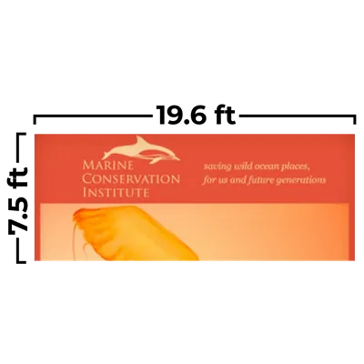 19.6 x 7.5ft - Webcam Covers Now