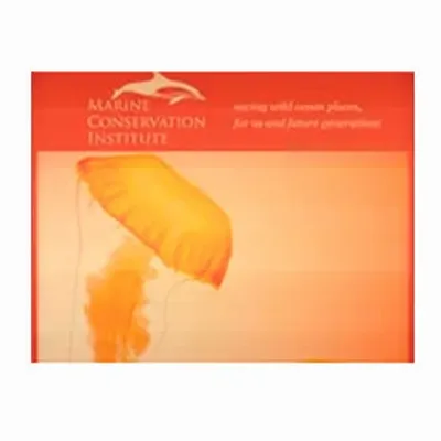 None - Webcam Covers Now