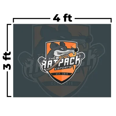 4 x 3 ft - Webcam Covers Now