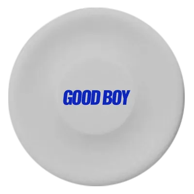 White White - Webcam Covers Now