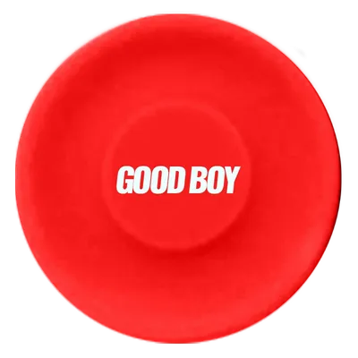 Red Red - Webcam Covers Now