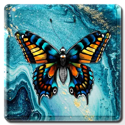 Square - Webcam Covers Now