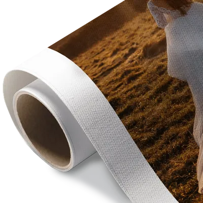 Rolled Canvas Rolled Canvas - Webcam Covers Now