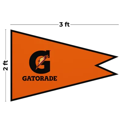 3 ft x 2 ft - Webcam Covers Now