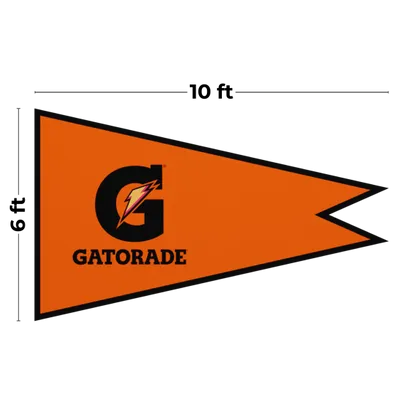 10 x 6 ft - Webcam Covers Now