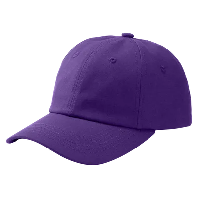 Purple Purple - Webcam Covers Now