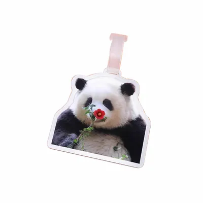 Custom Size Custom Size - Webcam Covers Now