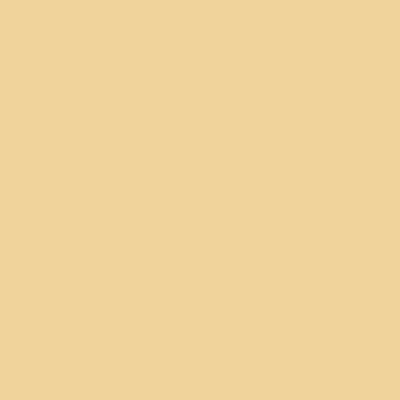 Warm White - Webcam Covers Now