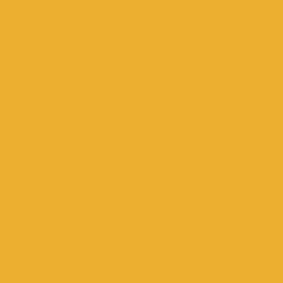 Orange - Webcam Covers Now
