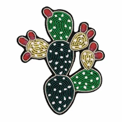 Cactus Cactus - Webcam Covers Now