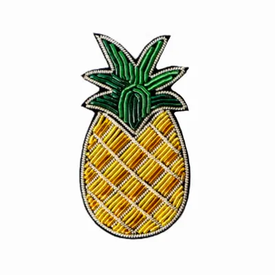 Pineapple Pineapple - Webcam Covers Now