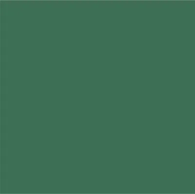 Dark Green Dark Green - Webcam Covers Now