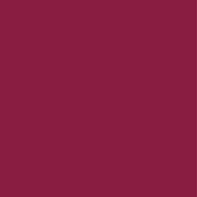 Burgundy Burgundy - Webcam Covers Now