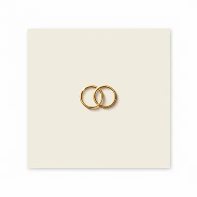 Style 2 - Webcam Covers Now