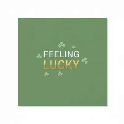 Style 9 - Webcam Covers Now