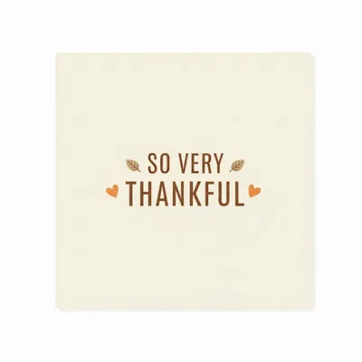 Style 2 - Webcam Covers Now